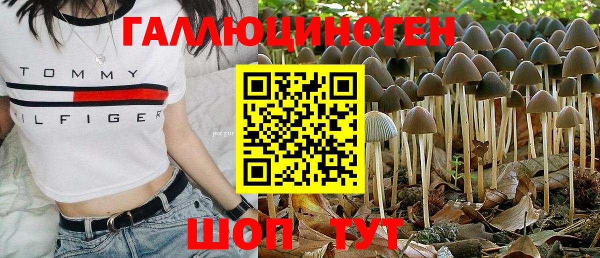 Псилоцибиновые грибы Psilocybine cubensis  Галлюциногенные грибы Cubensis  Вход с VPN  Южноуральск 